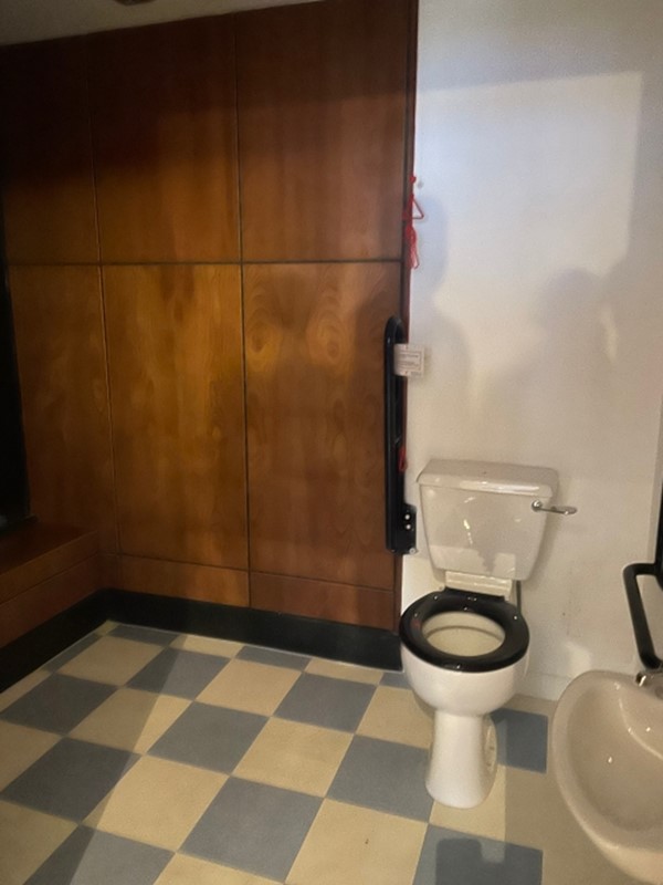 Image of an accessible toilet