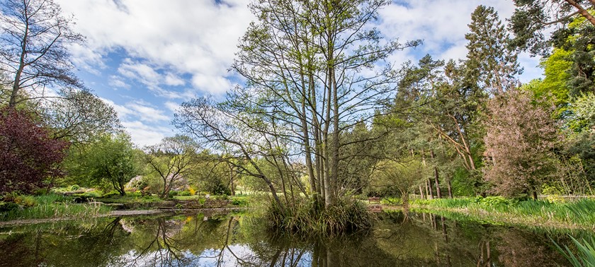 St Andrews Botanic Garden