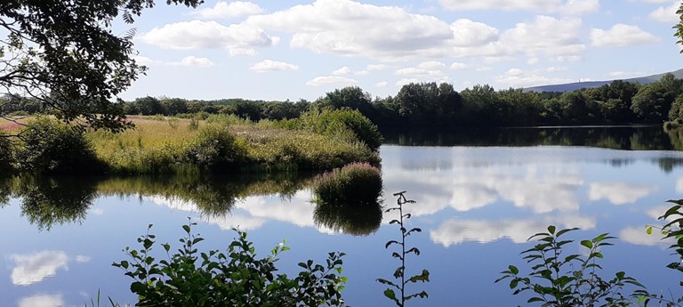 Birnie Loch