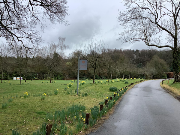 You drive along well maintained meadows