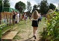 Picture of Wistow Maze