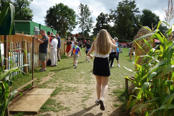 Picture of Wistow Maze