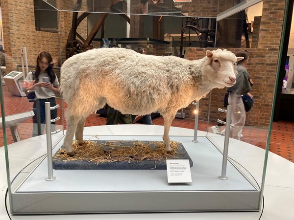 National Museum of Scotland