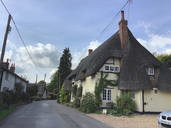 Street and houses