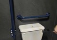 Image of a toilet and a grab rail