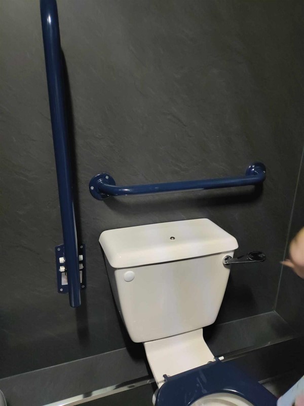 Image of a toilet and a grab rail