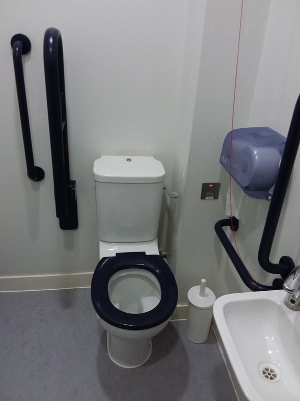 Accessible toilet