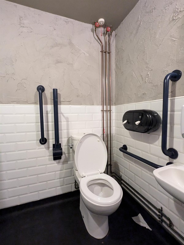 image of accessible toilet, and contrasting grab rails