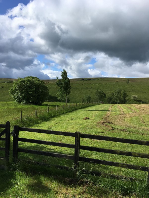 View from the lodge