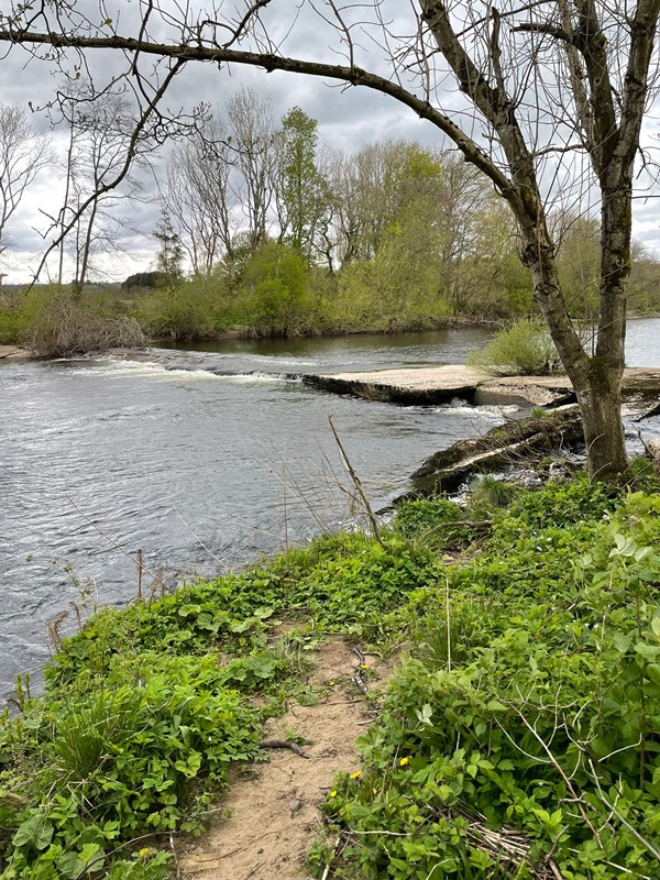 Image of Low Barns Nature Reserve