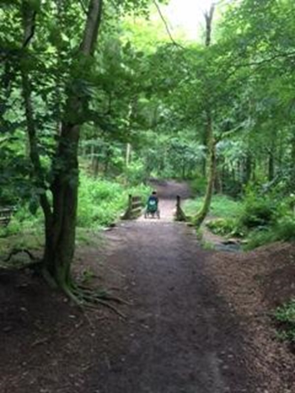 Picture of Flatts Wood Walk