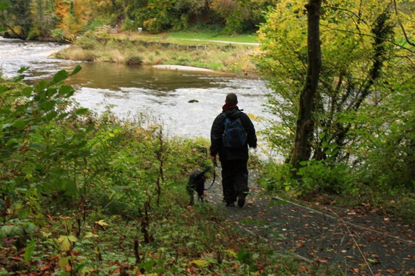 Hubby and my assistance dog, checking out the accessible path.