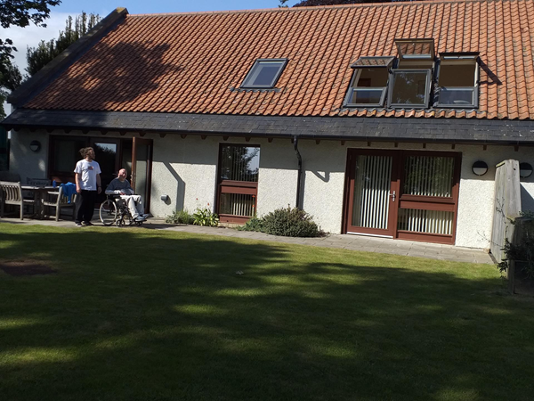 Catching the evening sunshine at the back of our house