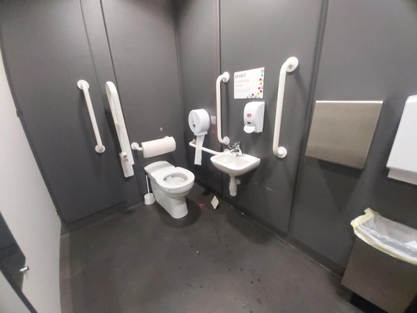 Accessible toilet