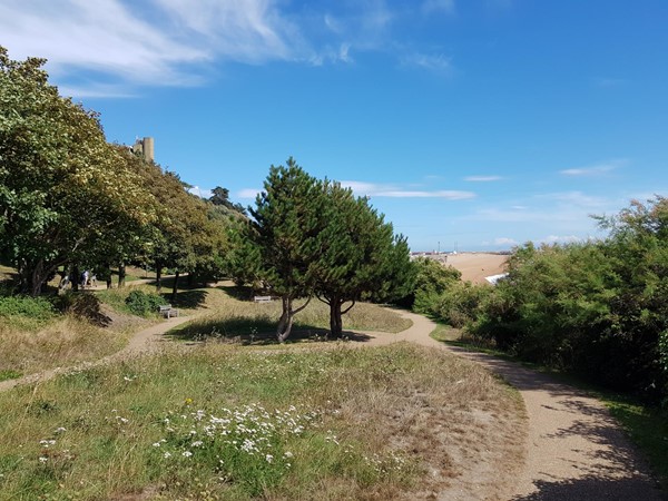 Picture of Lower Leas Coastal Park