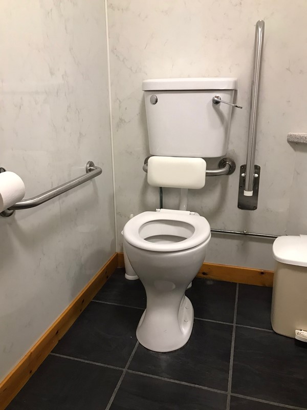 Accessible toilet