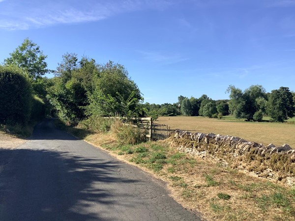 Road past a gate to field