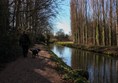 Path along the stream at Lode Mill