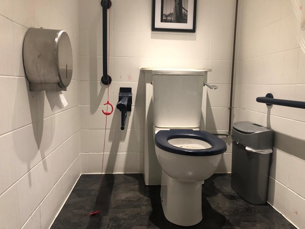 Accessible toilet