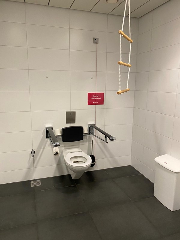 Picture of the accessible toilet