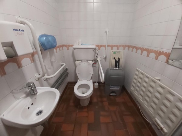 Image of an accessible toilet