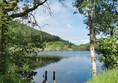 Picture of Knapdale Scottish Beaver Trial