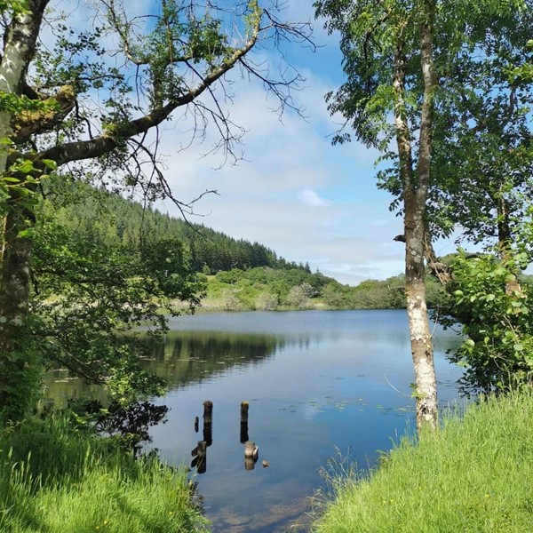 Picture of Knapdale Scottish Beaver Trial