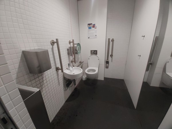 Image of a bathroom with a sink and toilet