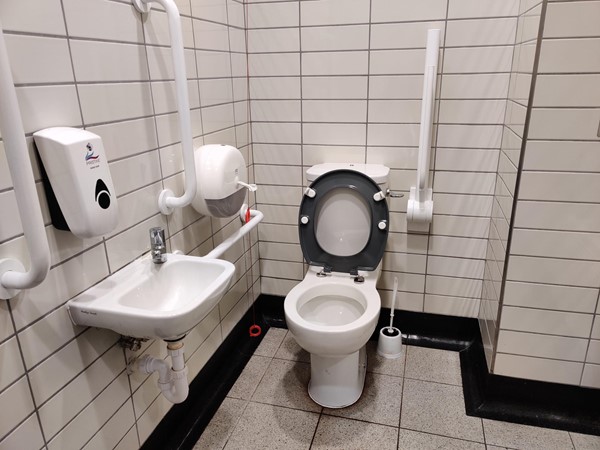 Accessible toilet cubicle, showing the complete absence of wheelchair transfer space.