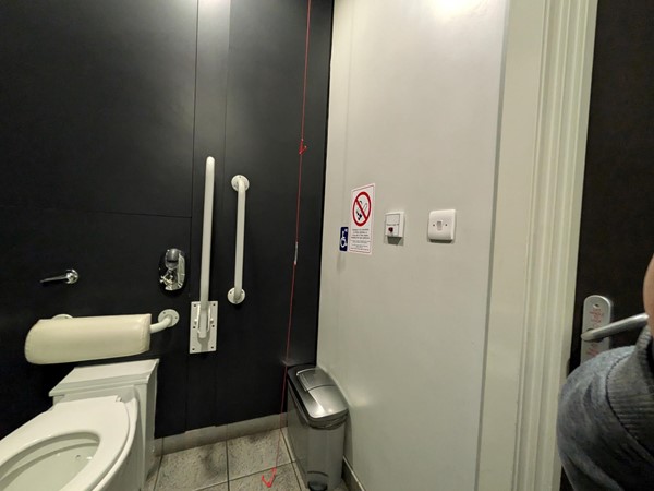 Image of the accessible toilet