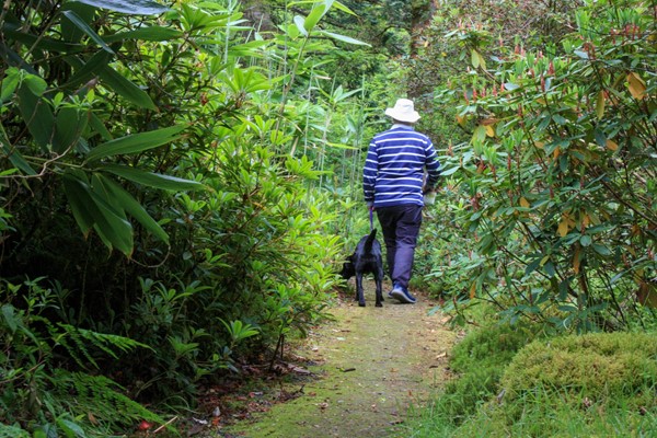 One of the narrower sections of path