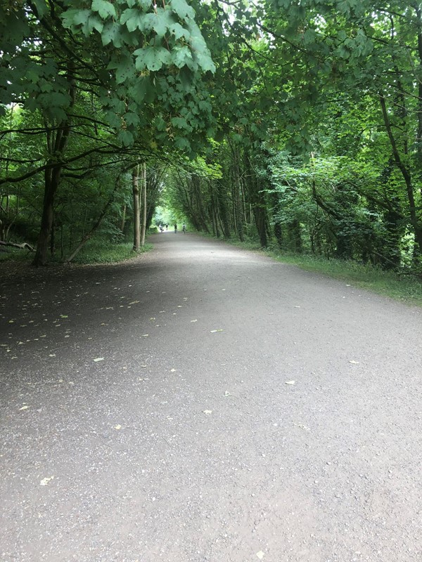 Concrete path through woods