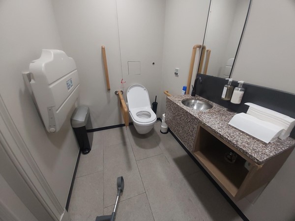 An accessible toilet with grab rails and a sink