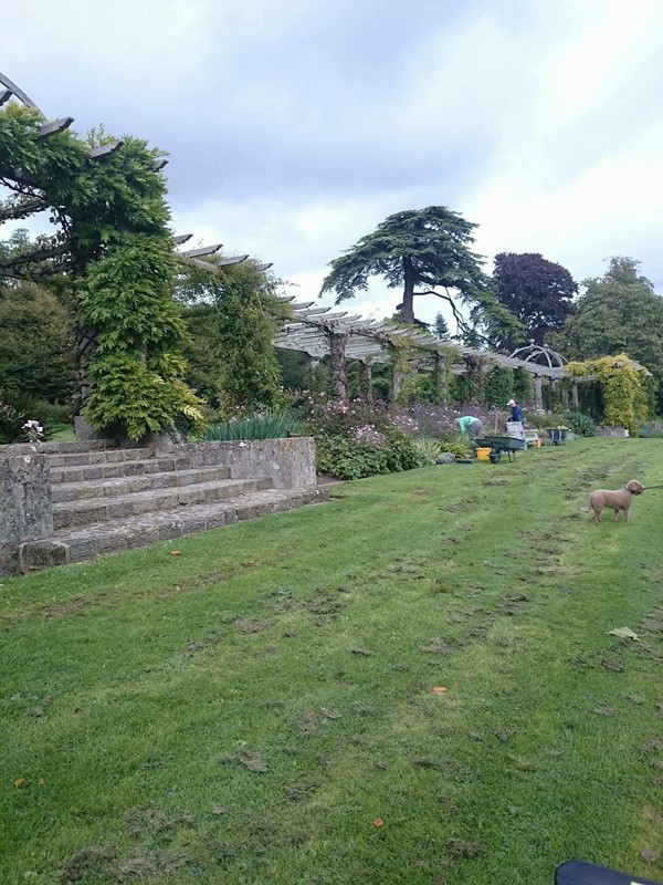 Picture of West Dean Gardens, Chichester