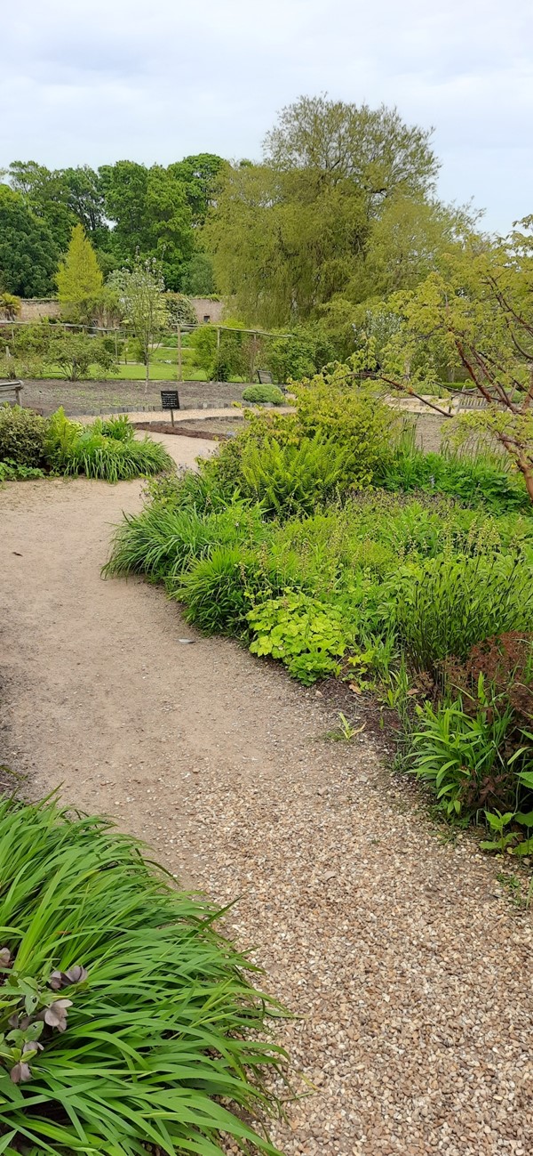 Image of Cambo Gardens