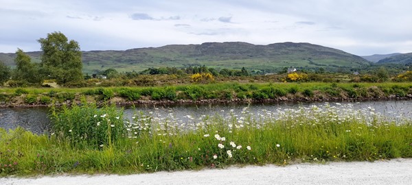 Picture of Fort Augustus Canal Walk