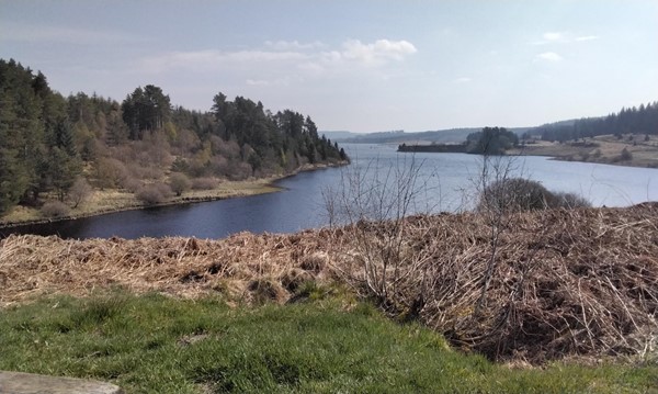 Picture of Calvert Trust Kielder