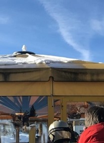 Snowbar@Hotel Alpenland