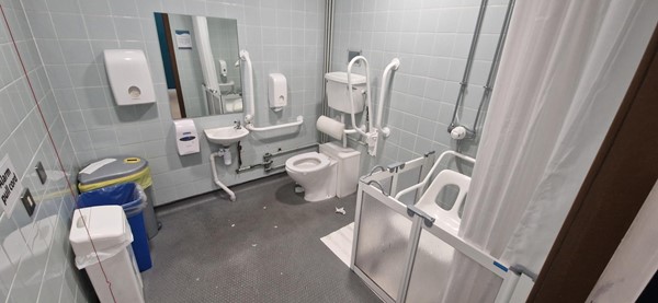 Image of an accessible toilet and sink