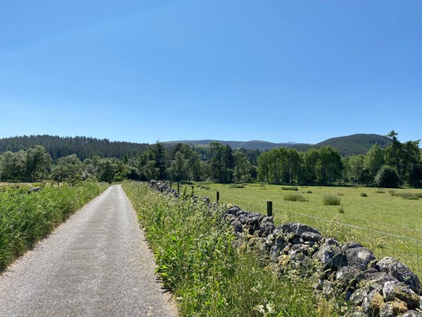 Path through fields to the woods