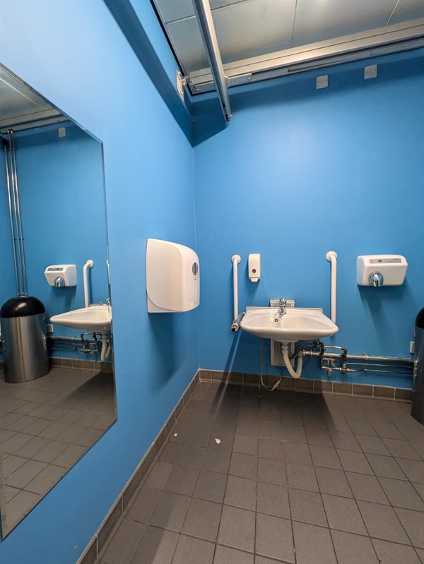 Image of sink in Changing Places toilet