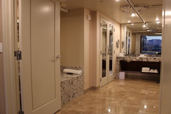 Picture of Aria Resort and Casino - Bathroom sink and shelves