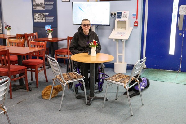 Image of a wheelchair user at a table with an assistance dog and a cat