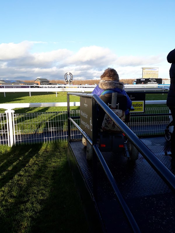 Raised viewing area - quite steep and slippery on the day I visited.