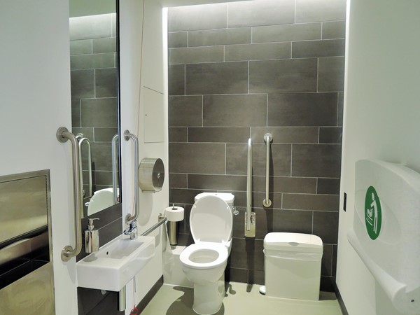 Wheelchair accessible toilet