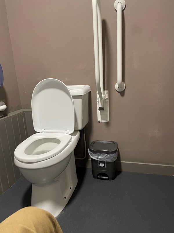 Cosy accessible WC