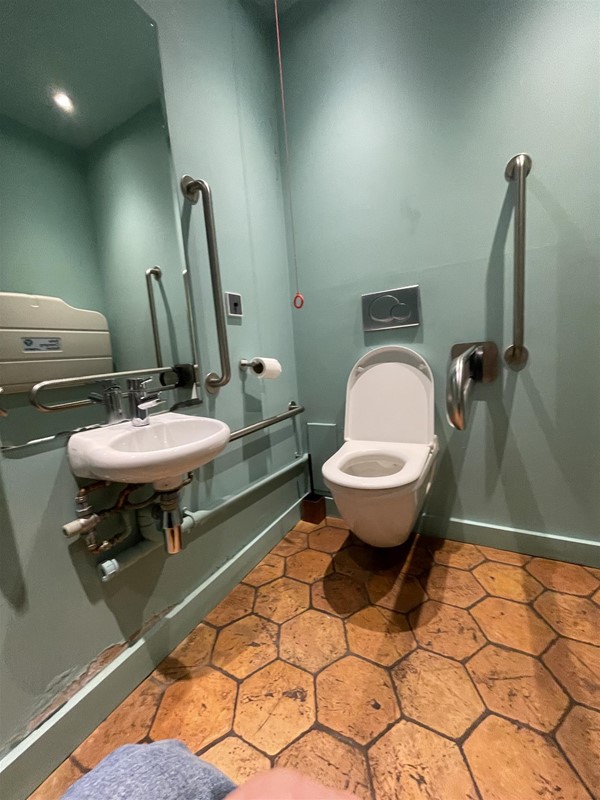 Accessible WC