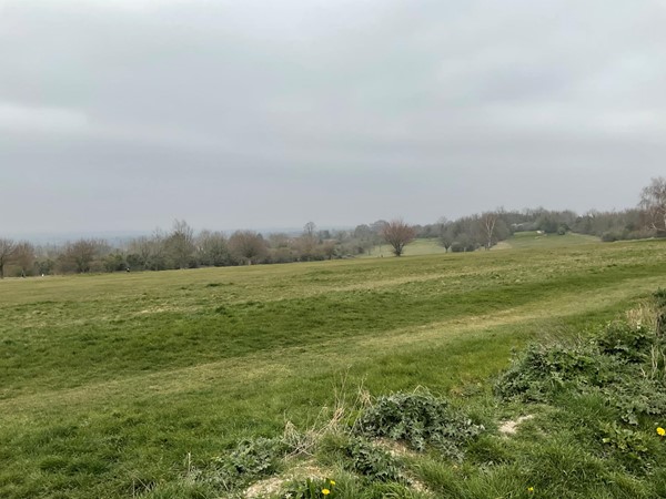 Picture of Epsom Downs field