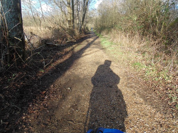 Picture of Blashford Lakes -shows the way the paths have been dressed to allow access for disabled people