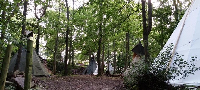 Hollybush Inn and Campsite